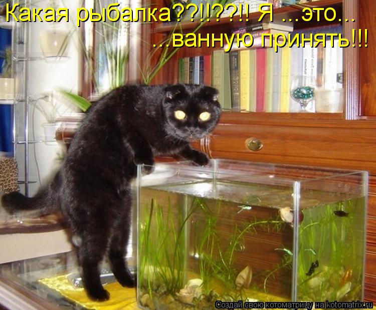...ванную принять!!! Какая рыбалка??!!??!! Я ...это...... Котоматрица: ...ванную принять!!! Какая рыбалка??!!??!! Я ...это...
