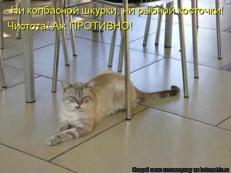 - Ни колбасной шкурки, ни рыбной косточки! Чистота! Аж ПРОТИВНО!... Котоматрица: - Ни колбасной шкурки, ни рыбной косточки! Чистота! Аж ПРОТИВНО!