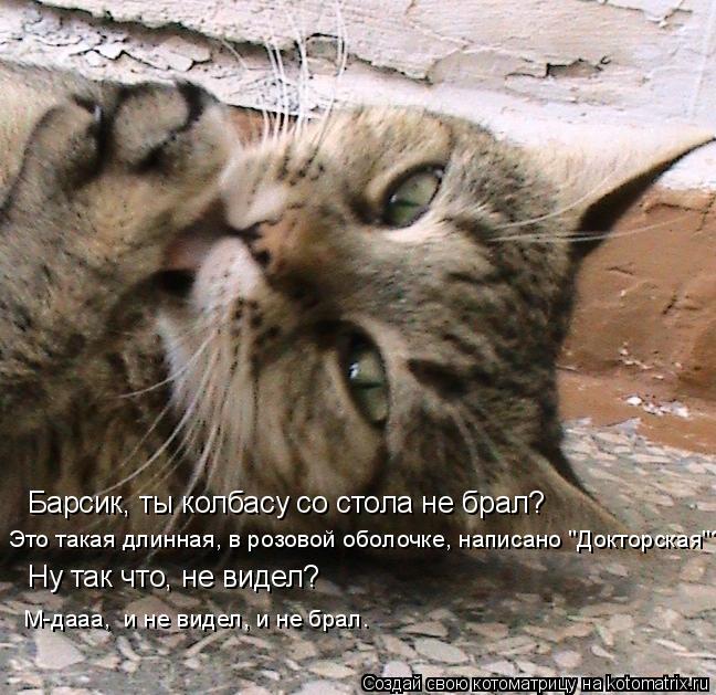 Барсик, ты колбасу со стола не брал? Это такая длинная, в розовой оболочке, написано "Докторская"? Ну... Котоматрица: Барсик, ты колбасу со стола не брал? Это такая длинная, в розовой оболочке, написано "Докторская"? Ну так что, не видел? М-дааа, и не видел, и не