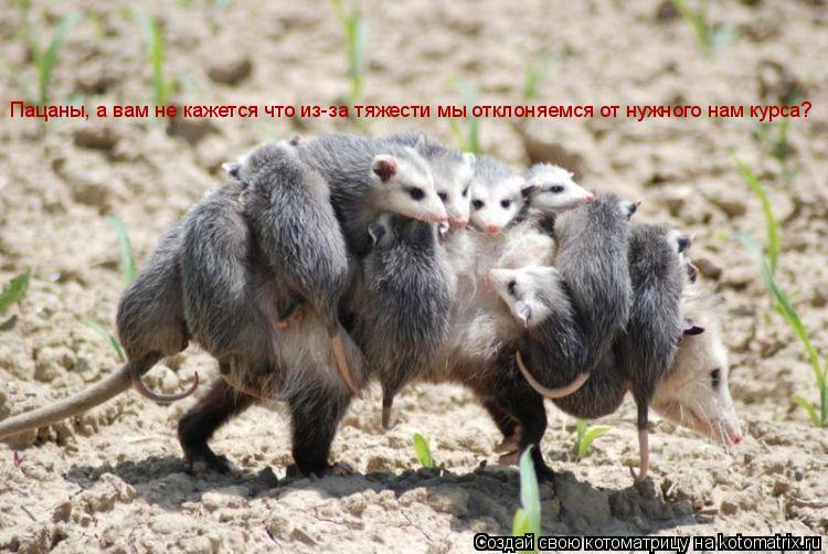 Котоматрица: Пацаны, а вам не кажется что из-за тяжести мы отклоняемся от нужного нам курса?