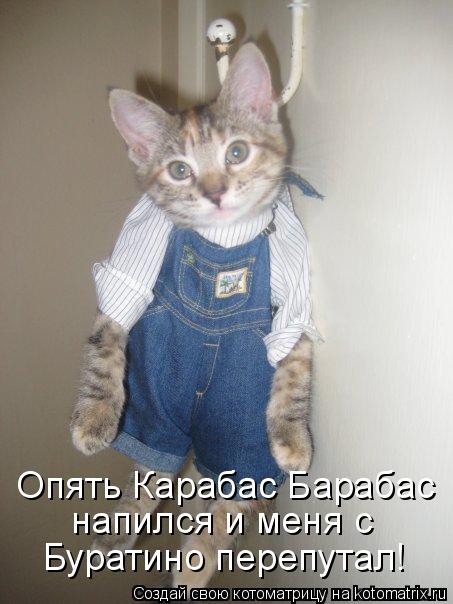 Котоматрица: Опять Карабас Барабас напился и меня с  Буратино перепутал!