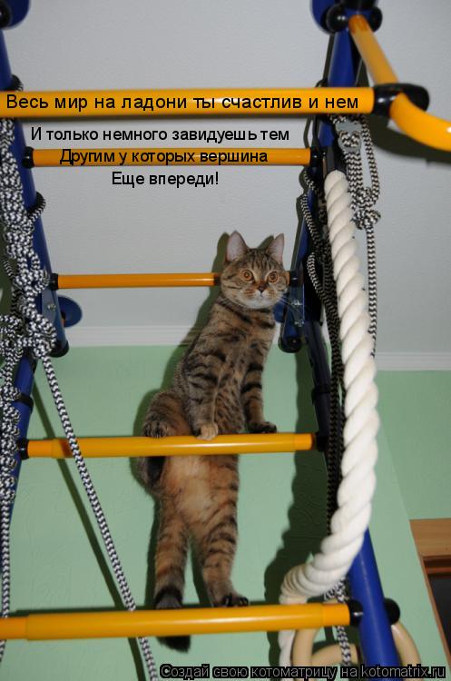 Котоматрица: Весь мир на ладони ты счастлив и нем  И только немного завидуешь тем Другим у которых вершина Другим у которых вершина Еще впереди!