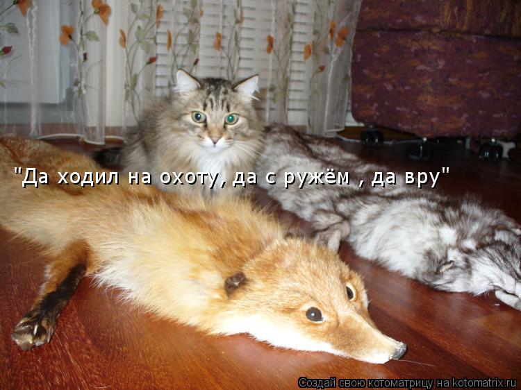 Котоматрица: "Да ходил на охоту, да с ружём , да вру"