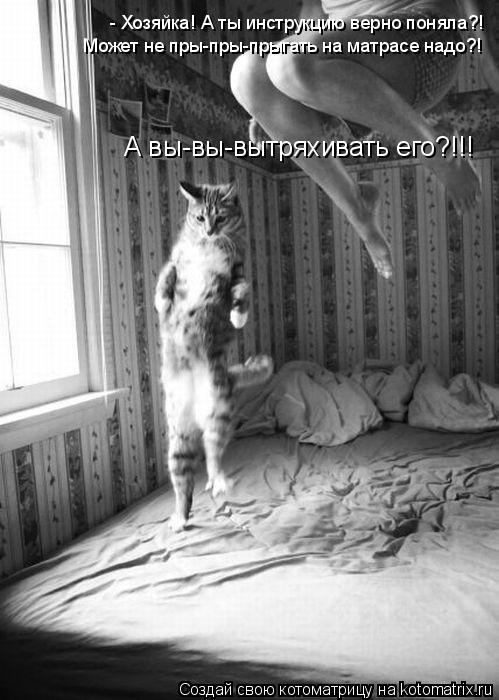 Котоматрица: - Хозяйка! А ты инструкцию верно поняла?! Может не пры-пры-прыгать на матрасе надо?! А вы-вы-вытряхивать его?!!!
