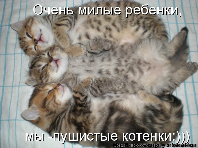 Котоматрица: мы -пушистые котенки:))) Очень милые ребенки,