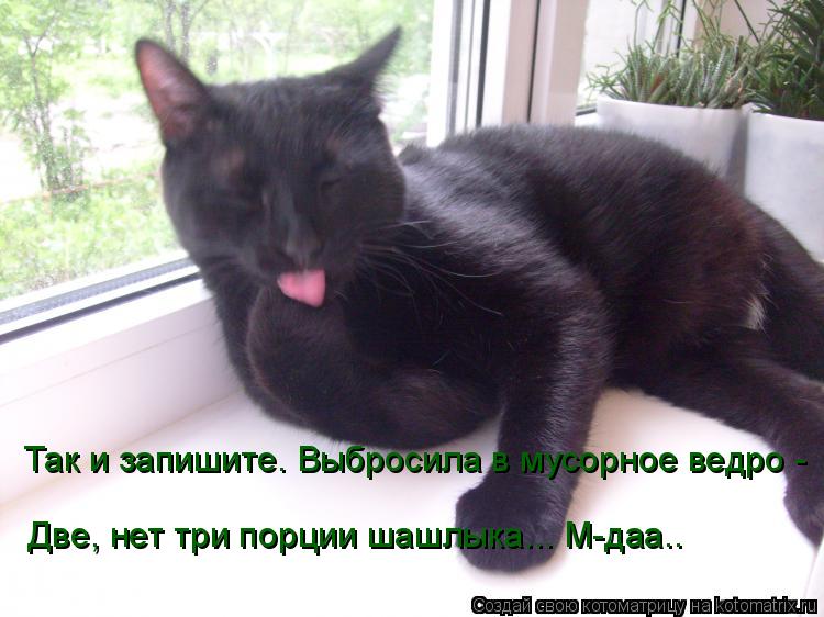 Котоматрица: Так и запишите. Выбросила в мусорное ведро -   Две, нет три порции шашлыка... М-даа..