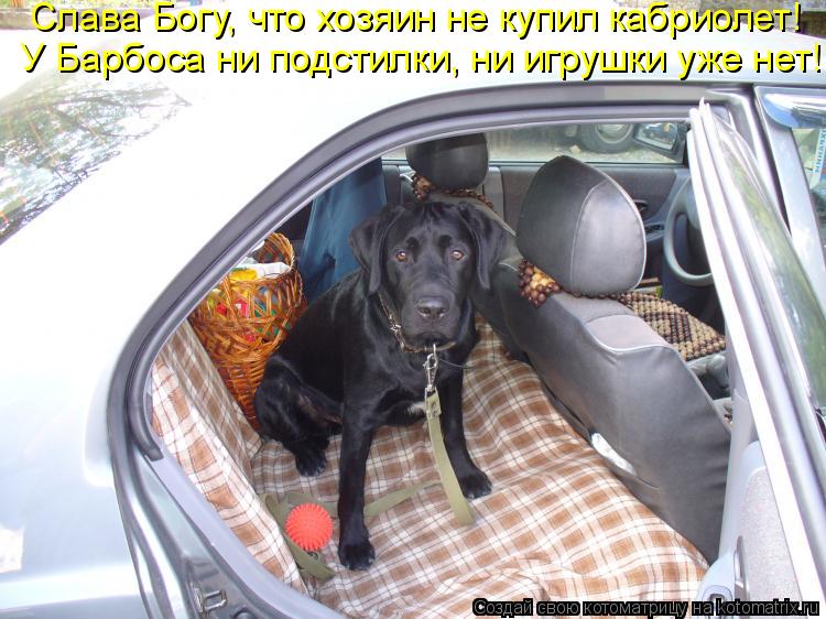 Котоматрица: Слава Богу, что хозяин не купил кабриолет!  У Барбоса ни подстилки, ни игрушки уже нет!