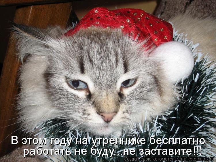 Котоматрица: работать не буду...не заставите!!! В этом году на утреннике бесплатно