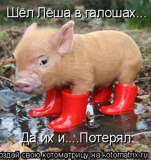 Котоматрица: Шёл Лёша в галошах... Да их и....Потерял