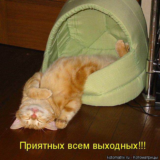 Котоматрица: Приятных всем выходных!!!