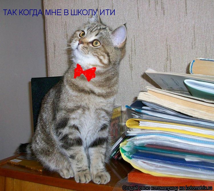Котоматрица: ТАК КОГДА МНЕ В ШКОЛУ ИТИ