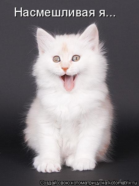 Котоматрица: Насмешливая я...