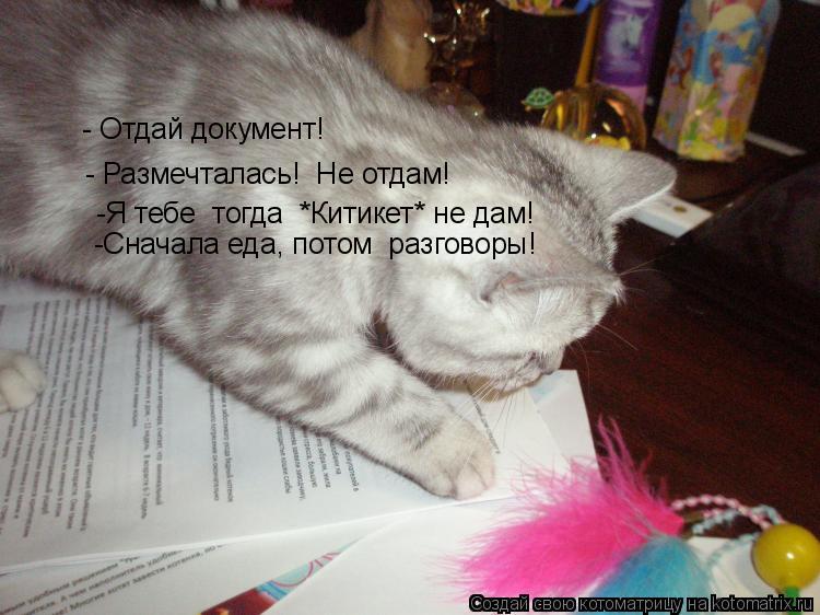 Котоматрица: - Размечталась!  Не отдам! - Отдай документ! Я тебе  тогда  *Китикет* не дам! -Я тебе  тогда  *Китикет* не дам! -Сначала еда, потом  разговоры!