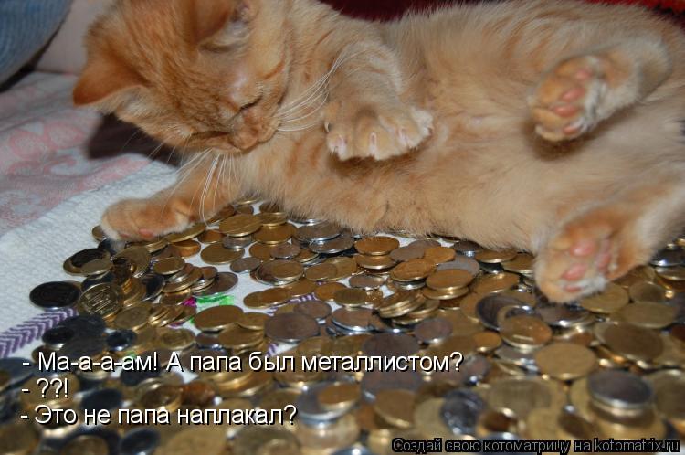 Котоматрица: - Ма-а-а-ам! А папа был металлистом? - ??! - Это не папа наплакал?