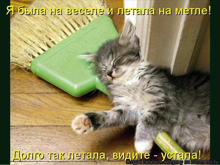 Котоматрица: Я была на веселе и летала на метле! Долго так летала, видите - устала!