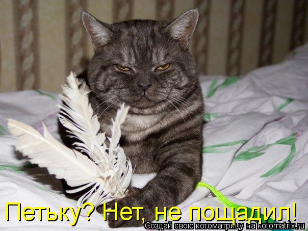 Котоматрица: Петьку? Нет, не пощадил!
