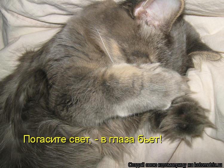 Котоматрица: Погасите свет, - в глаза бьет!