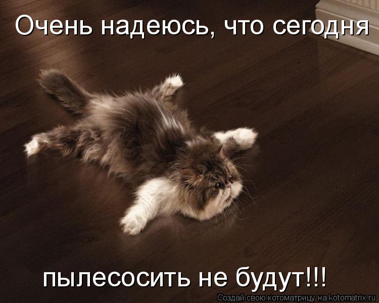 Котоматрица: Очень надеюсь, что сегодня пылесосить не будут!!!