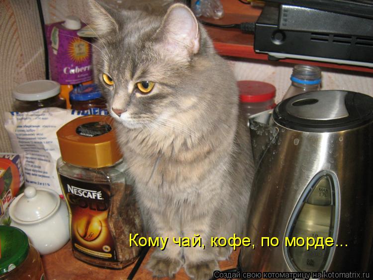 Котоматрица: Кому чай, кофе, по морде...