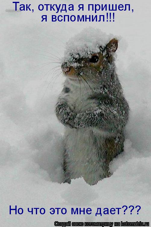 Котоматрица: Так, откуда я пришел,  я вспомнил!!! Но что это мне дает???