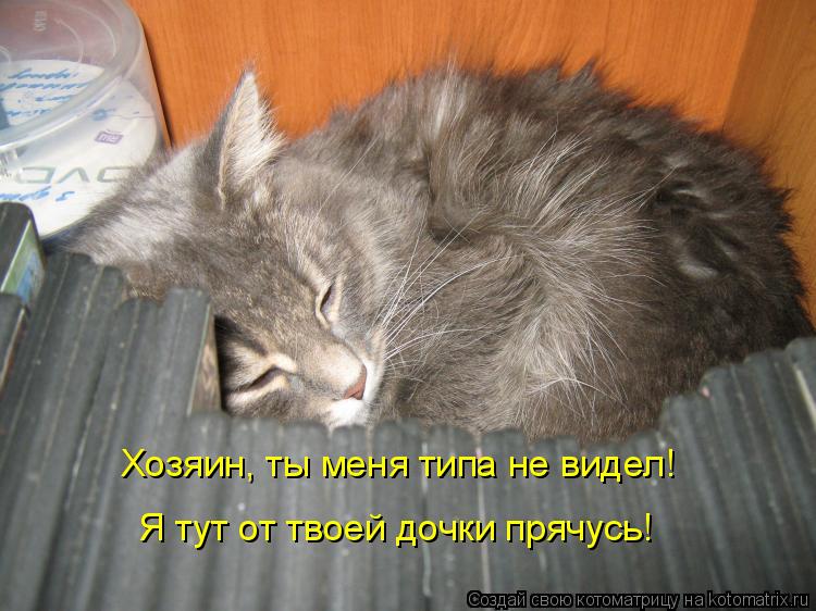 Котоматрица: Хозяин, ты меня типа не видел! Я тут от твоей дочки прячусь!