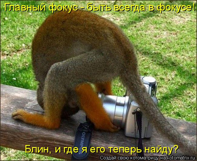 Котоматрица: Главный фокус - быть всегда в фокусе! Блин, и где я его теперь найду?
