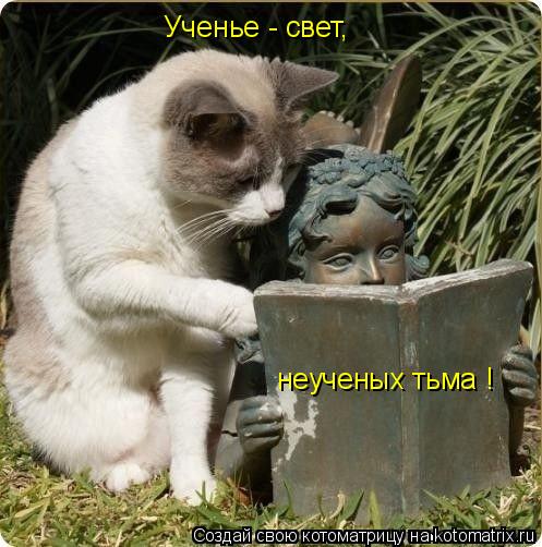 Котоматрица: Ученье - свет, неученых тьма !