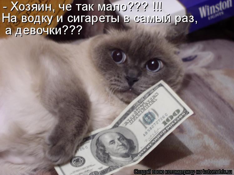 Котоматрица: На водку и сигареты в самый раз,  а девочки??? - Хозяин, че так мало??? !!!