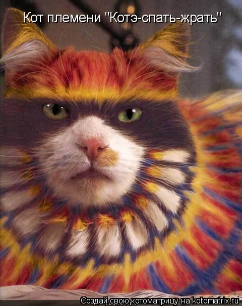 Котоматрица: Кот племени "Котэ-спать-жрать"