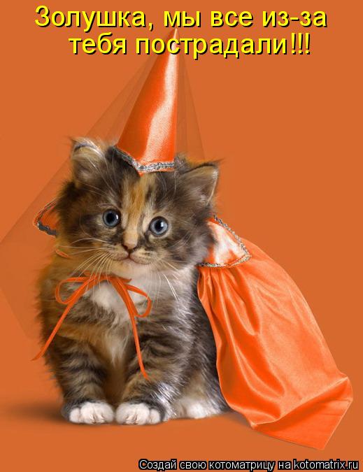 Котоматрица: Золушка, мы все из-за  тебя пострадали!!!