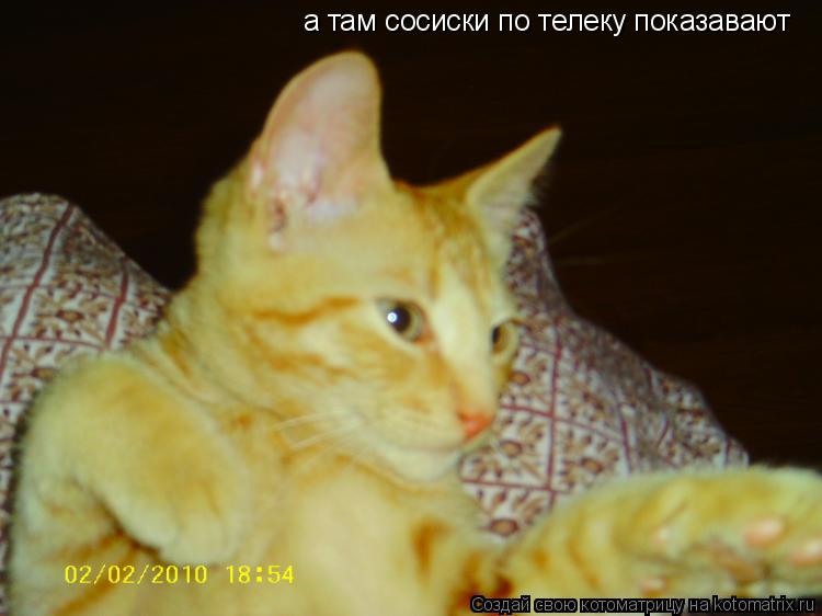 Котоматрица: а там сосиски по телеку показавают