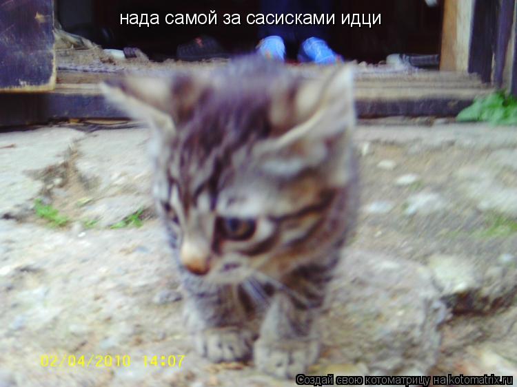 Котоматрица: нада самой за сасисками идци