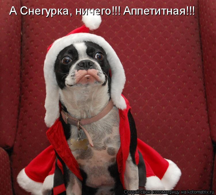 Котоматрица: А Снегурка, ничего!!! Аппетитная!!!