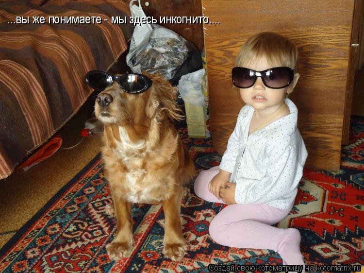 Котоматрица: ...вы же понимаете - мы здесь инкогнито....