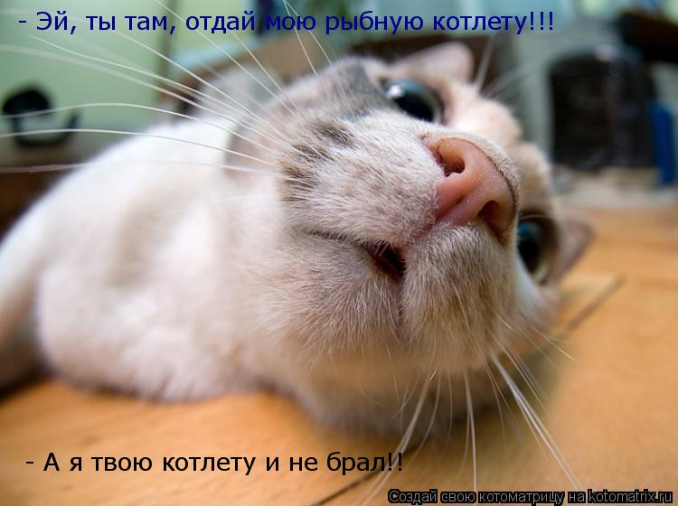 Котоматрица: - Эй, ты там, отдай мою рыбную котлету!!!  - А я твою котлету и не брал!!