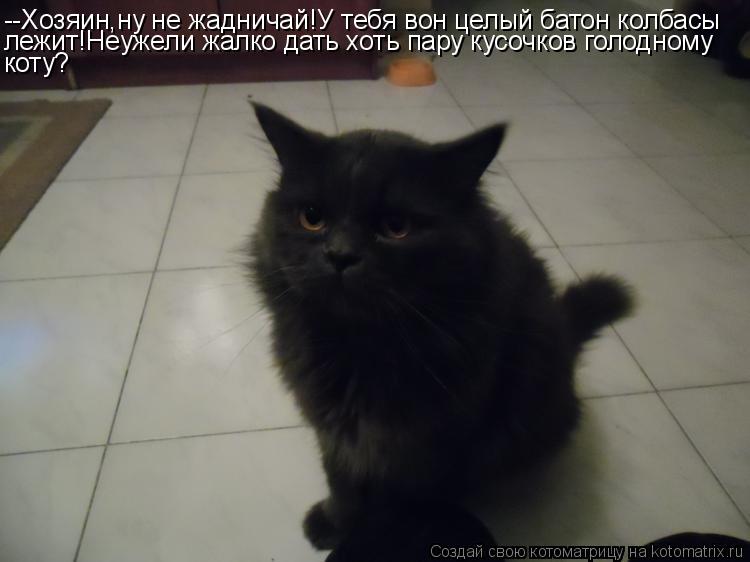 Котоматрица: --Хозяин,ну не жадничай!У тебя вон целый батон колбасы лежит!Неужели жалко дать хоть пару кусочков голодному коту?