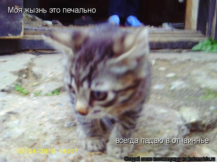 Котоматрица: Моя жызнь это печально всегда падаю в отчаиннье