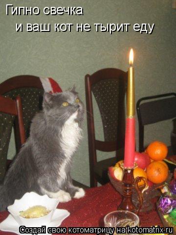 Котоматрица: Гипно свечка и ваш кот не тырит еду