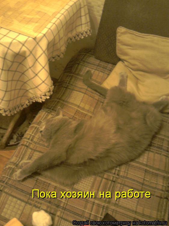 Котоматрица: Пока хозяин на работе Пока хозяин на работе Пока хозяин на работе Пока хозяин на работе
