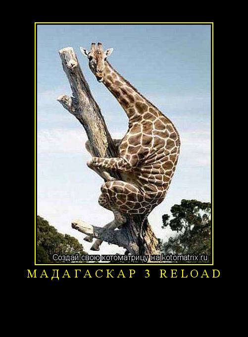 Котоматрица: Мадагаскар 3 Reload 