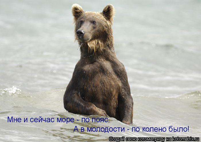 Котоматрица: Мне и сейчас море - по пояс. А в молодости - по колено было!