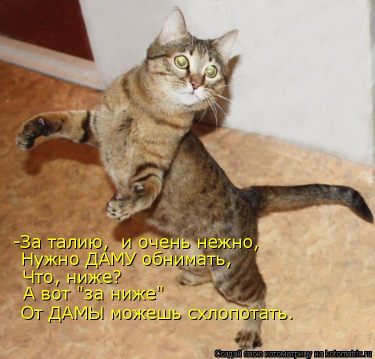 Котоматрица: -За талию,  и очень нежно, Нужно ДАМУ обнимать, Что, ниже? А вот "за ниже" От ДАМЫ можешь схлопотать.