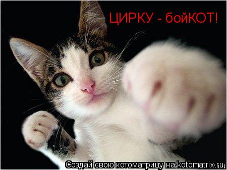 Котоматрица: ЦИРКУ - бойКОТ!