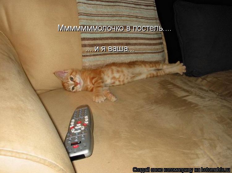 Котоматрица: Мммммммолочко в постель.... ....и я ваша...