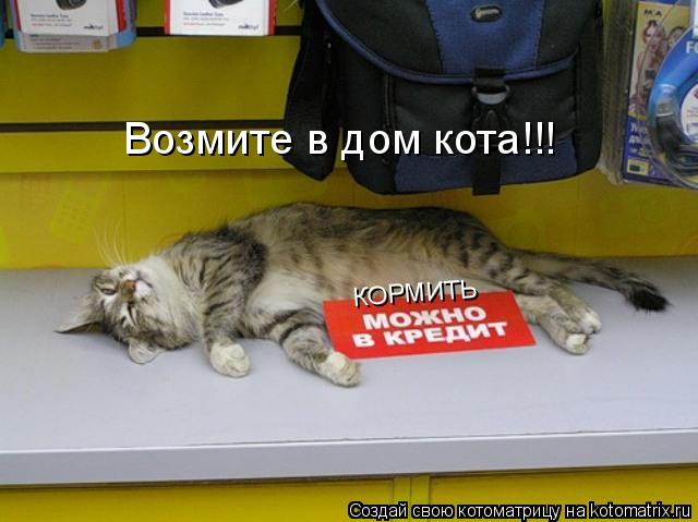 Котоматрица: Возмите в дом кота!!! КОРМИТЬ