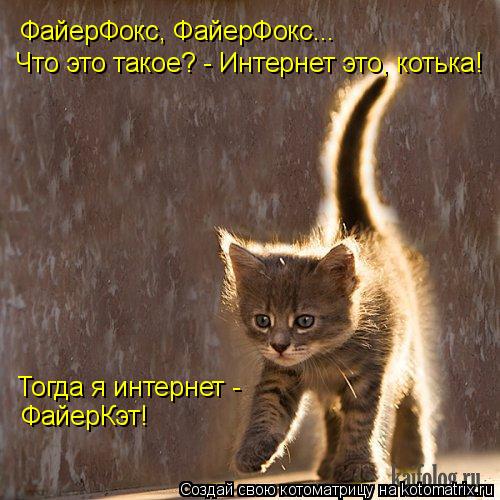 ФайерФокс, ФайерФокс... Что это такое? - Интернет это, котька! Тогда я интернет - ФайерКэт!... Котоматрица: ФайерФокс, ФайерФокс... Что это такое? - Интернет это, котька! Тогда я интернет - ФайерКэт!