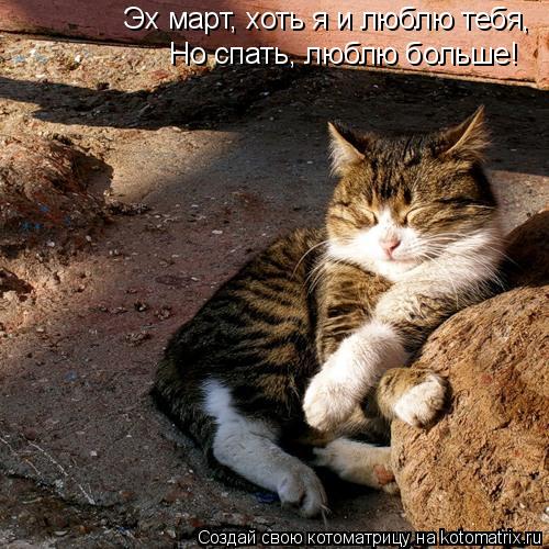 Котоматрица: Эх март, хоть я и люблю тебя, Но спать, люблю больше!