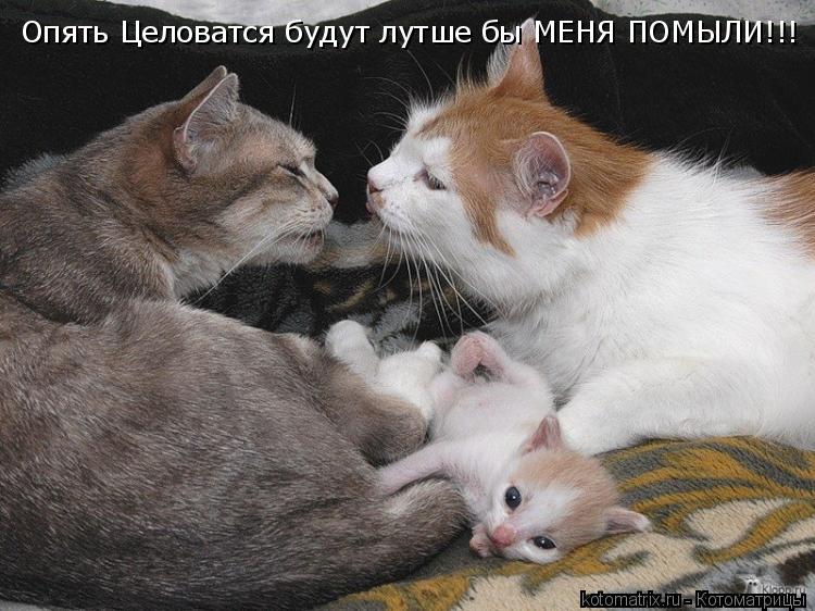 Котоматрица: Опять Целоватся будут лутше бы МЕНЯ ПОМЫЛИ!!!