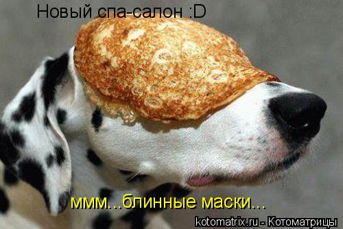 Котоматрица: Новый спа-салон :D ммм...блинные маски...