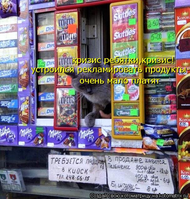 Котоматрица: кризис ребятки,кризис! устроился рекламировать продукты- очень мало платят
